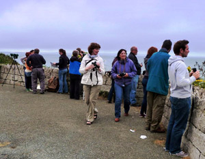 Mourne Heritage Trust